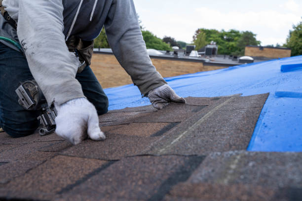 Best Commercial Roofing Services  in Macon, IL